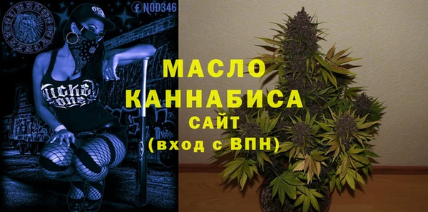 индика Волоколамск