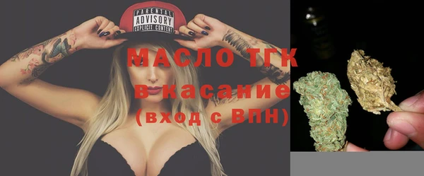 индика Волоколамск