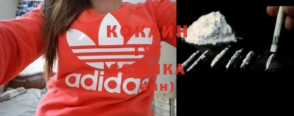 индика Волоколамск