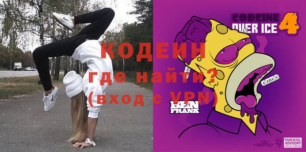 индика Волоколамск