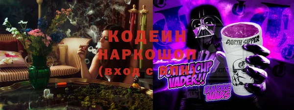 индика Волоколамск