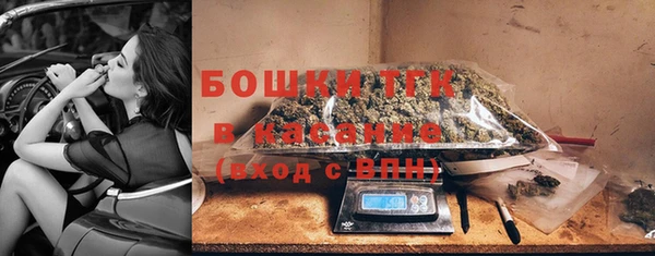 индика Волоколамск