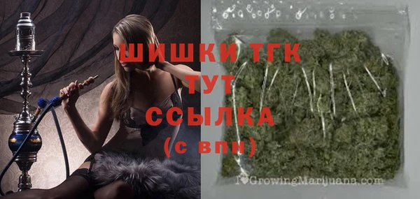 индика Волоколамск