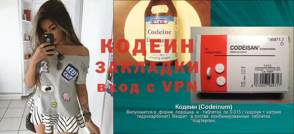 индика Волоколамск